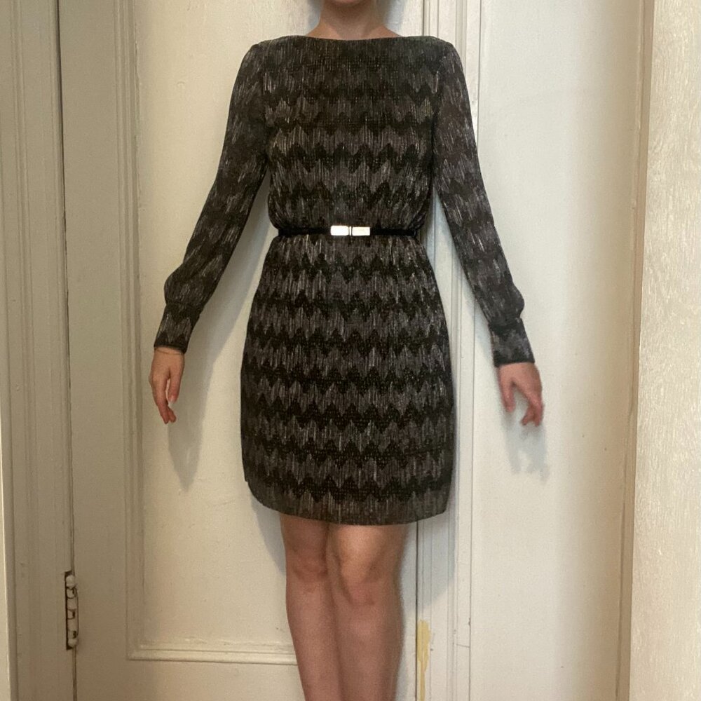 Shiny Banana Republic Dress